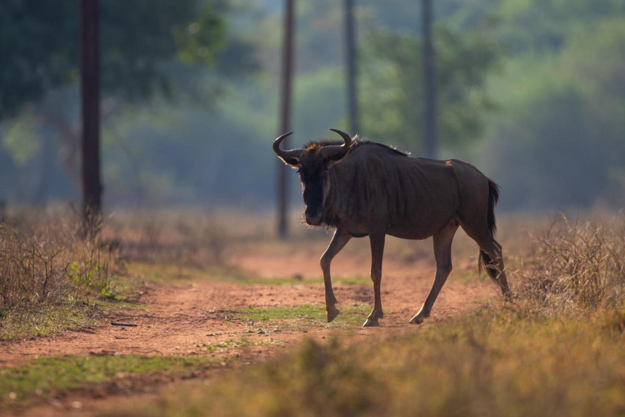 Nungu Game Lodge Lephalale Екстериор снимка