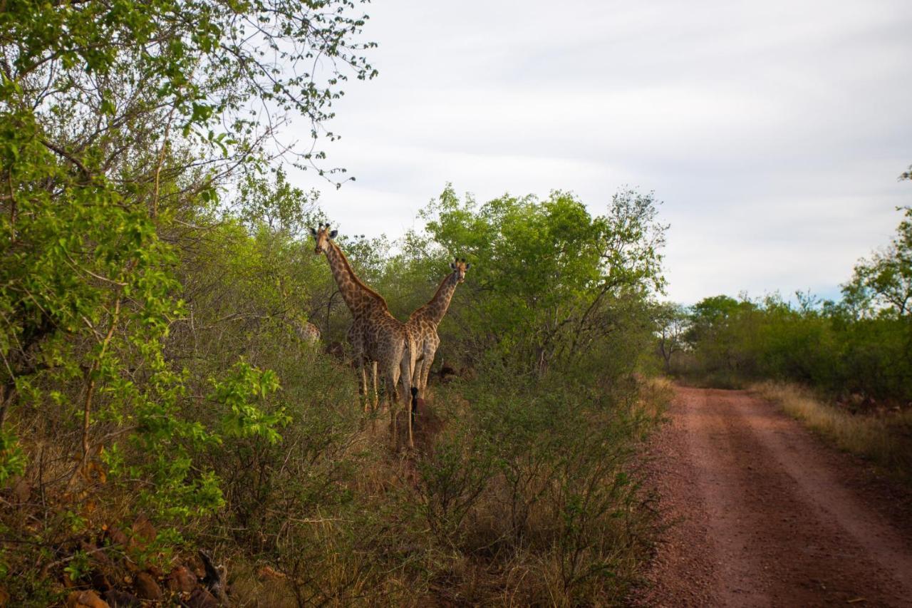 Nungu Game Lodge Lephalale Екстериор снимка